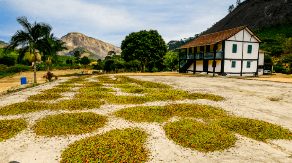 A Eficiência do Outdoor em Brejetuba com a ES Outdoor: Conectando sua Marca com a Natureza e o Público Local