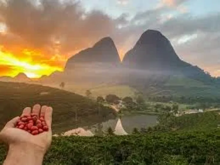 Faça Sua Campanha de Mídia OOH nas Principais Cidades Agro do Espírito Santo com a ES Outdoor