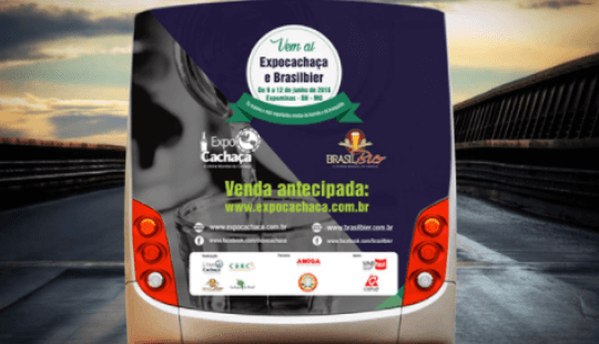 backbus-piuma-