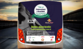 Ponto nº BACKBUS PIÚMA 